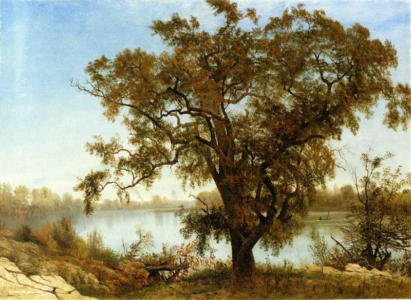 Albert Bierstadt A View From Sacramento Norge oil painting art